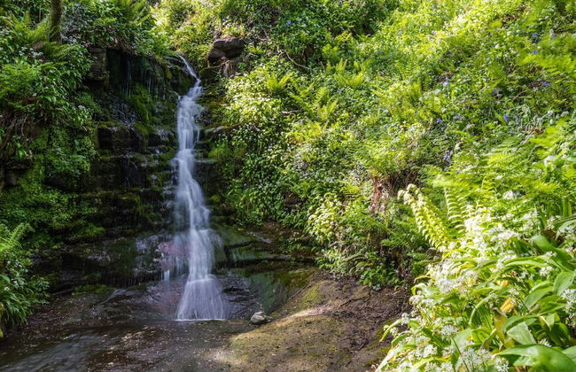 Orroland Lodge - Foto 29