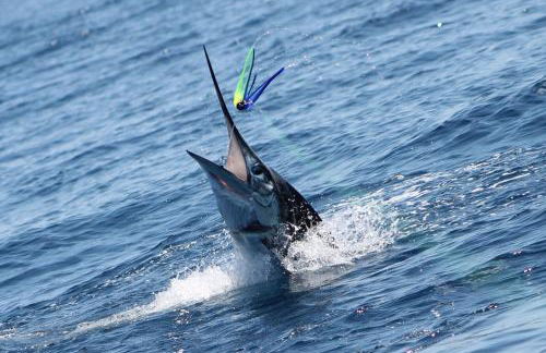 Lugar de Santana - Foto 24