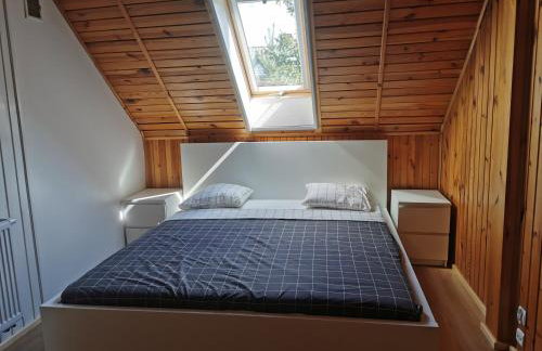 Leśne Wspomnienia - Foto 21