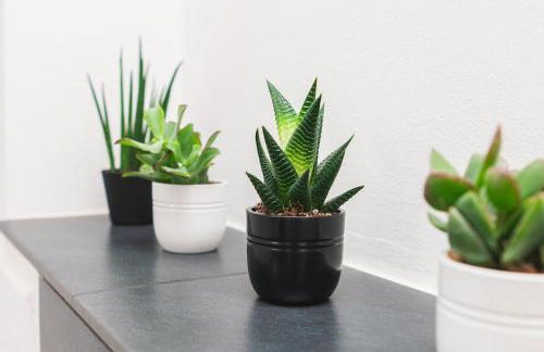 Traumwohnung im Kölner Süden - Foto 27