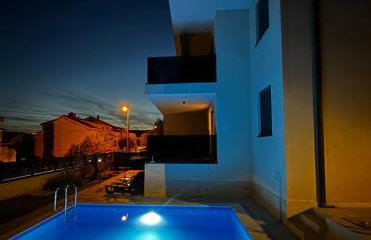 Palm Blues - Photo 7