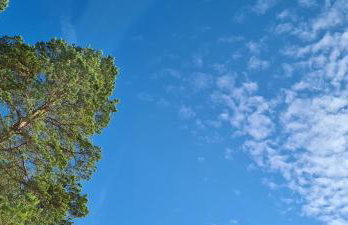 Dom Derbend na wyłączność - Foto 47