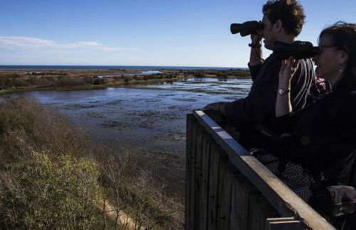 Casa con piscina privada, jardín, barbacoa, wifi y despacho en Costa Brava - ES-89-83 - Foto 35
