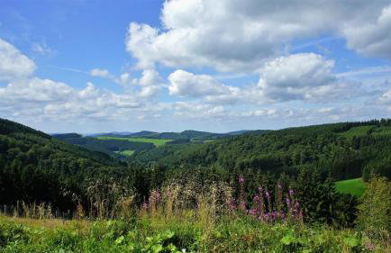Ferienwohnung Peitz - Photo 25