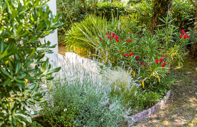 Les Narcisses - Foto 26