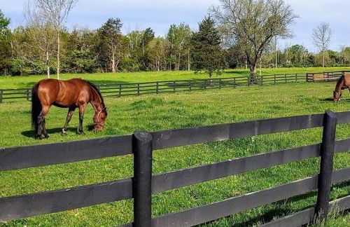 102 Acre Pet Friendly Horse Farm! Bring your horse too! - Foto 31