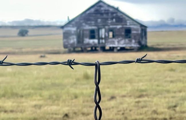 Franklin Fab Gallery House - Photo 25