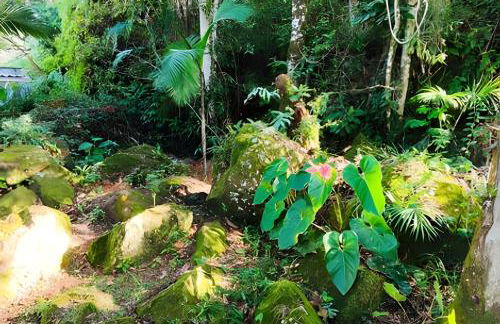 Casa Ecológica com PiSCiNAS super PrivAtiva - Photo 20