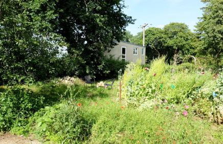 Ferienwohnungen in Stresdorf - Photo 15