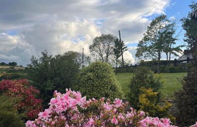 Dans Wee Cottage Slieve Croob Dromara Castlewellan Newcastle - Foto 57