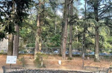 Maison de village le BACCI - Foto 14