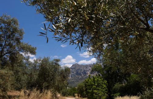 Cortijo el Chaparro - Foto 34