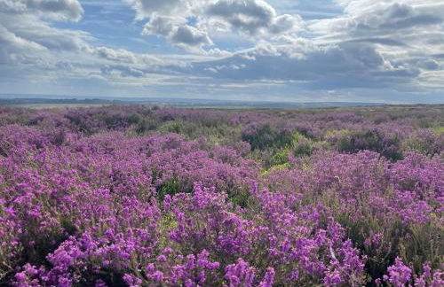 Craven Garth Cottages - Foto 12