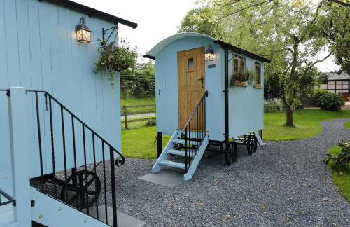 Upper Gelli Luxury Holiday Lodge, Converted Dairy & Cosy Shepherds Huts - Photo 67