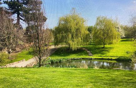 STARGAZER adult only - Foto 29