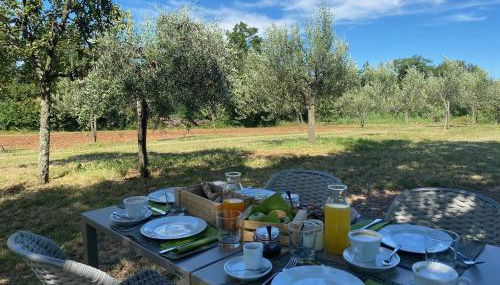 Cardo Boutique&Wine Resort - Foto 5