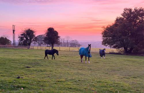 The Annexe at Kirtonia - Foto 18