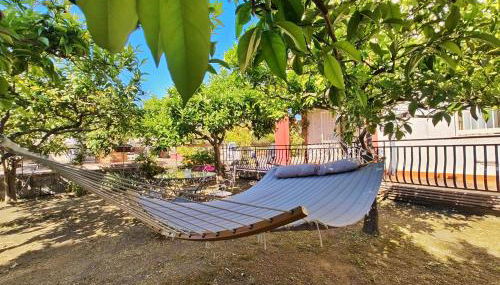 Lemon Tree Home - Foto 3, Garden, Garden view