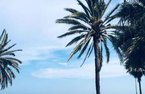 Mar Bella Beach Apartments - Foto 15