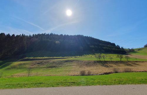 Ferienwohnung am Siegelbächle - Foto 14