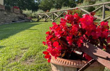 Cerqua Rosara Residence - Foto 104