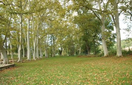 Domaine Le Maska - Photo 22