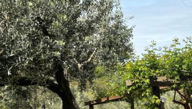 LA CAPANNA Casale in pietra con piscina - Foto 3