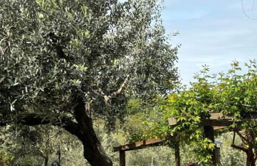 LA CAPANNA Casale in pietra con piscina - Foto 3