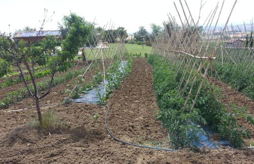 Residence Colle Veroni - Foto 74