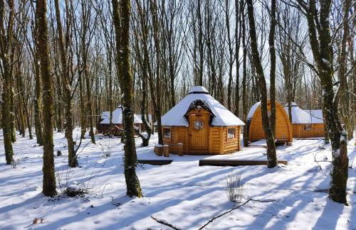 Le Domaine Insolite de Brocéliande - Foto 31