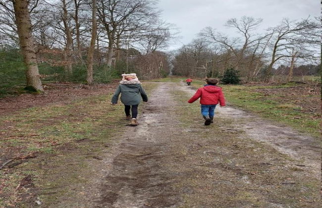 Chalet in Holiday Park With Private Terrace - Photo 32