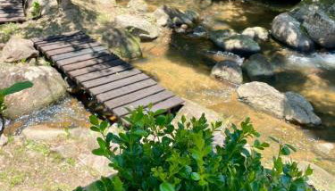 Chacara Sossego da Natureza - Foto 1