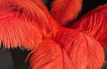 Love room Casa Amore - Foto 46