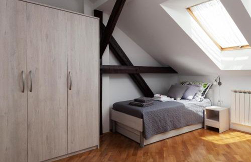 OLIVA 4 STARS - Photo 11