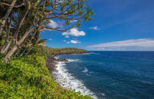 The Bali House and Cottage at Kehena Beach Hawaii - Foto 34