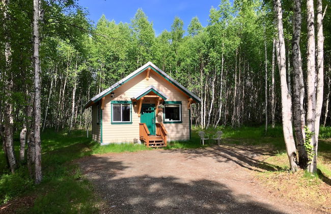 Takleetnas Mount Dall Cottage with Wi-fi and washer/dryer - Foto 16