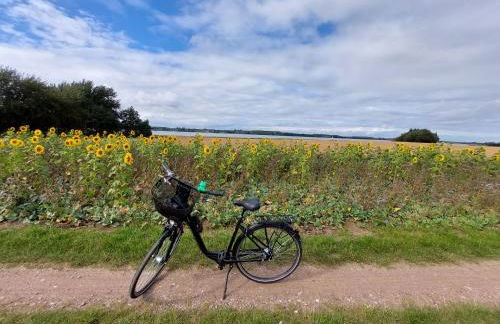 Landkate im Dorfkern - Foto 19