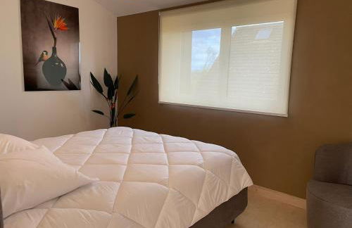 Les gites du champ des oiseaux - Foto 24