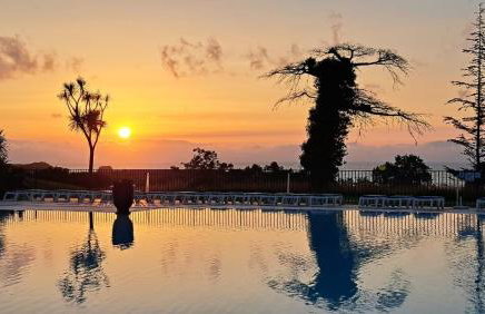 Domaine de Bordaberry - Jardin & superbe piscine - Photo 65