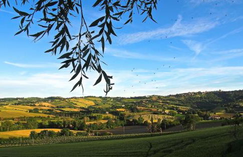 Casa Montale - Foto 16