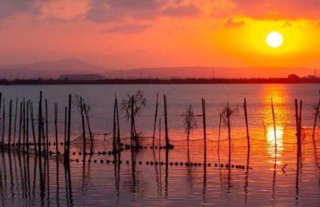 Casa Enredadera - Foto 34