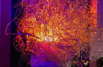 N vogue Apartment - Außergewöhnliche Unterkunft in Zentrumsnähe - Foto 9