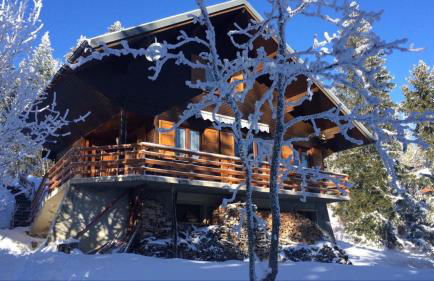 Chalet Les Airelles - Foto 1