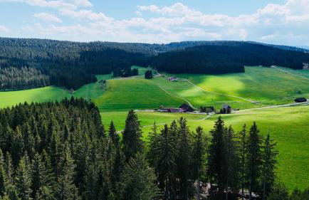 Ferienhaus Wendelhof - Foto 19