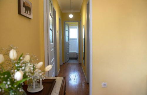 Casa do Carvalhal - natureza no centro da cidade - Foto 6