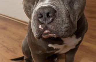 AVR Apartment HOF 7 - Foto 21