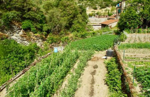 Casa Celestine in Via Orsini Isolabona Liguria Italy Sleeps 5 - Foto 67