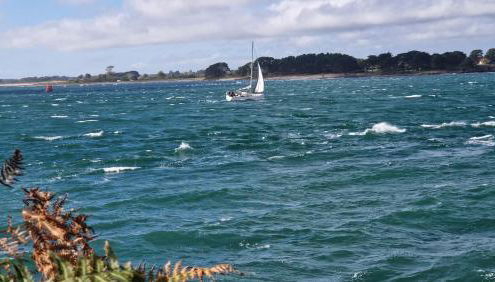 Gîte Le Champ Du Bois - Foto 2