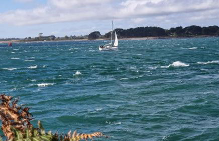 Gîte Le Champ Du Bois - Foto 2