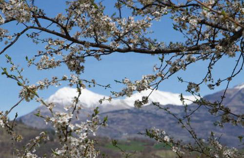 La Genevraie - Foto 18